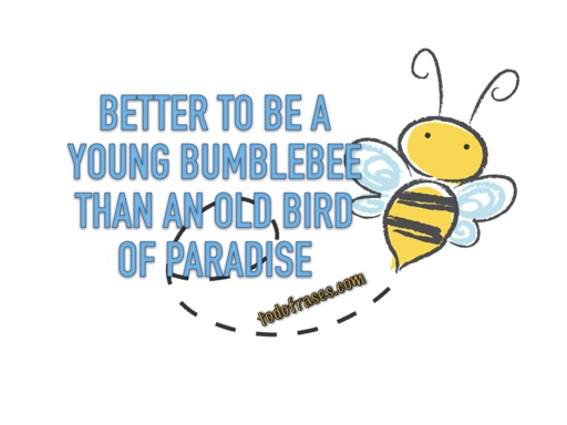 Better to be a young bumblebee than an old bird of paradise