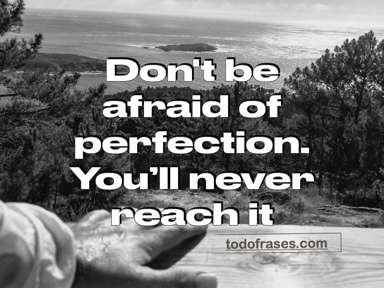 Don't be afraid of perfection, you'll never reach it