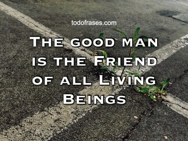 The good man is the friend of all living beings