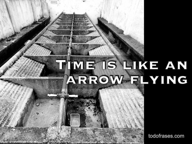 Time is like an arrow flying