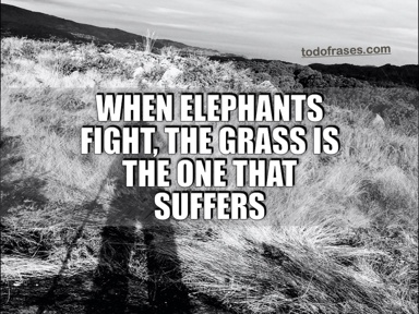 When elephants fight, the grass is the one that suffers