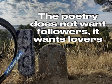 The poetry does not want followers, it wants lovers
