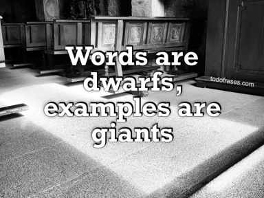Words are dwarfs, examples are giants
