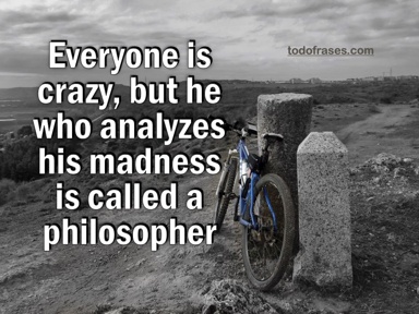 Everyone is crazy, but he who analyzes his madness is called a philosopher