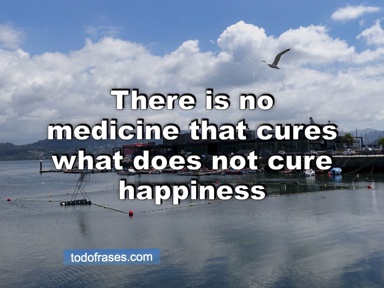 There is no medicine that cures what does not cure happiness