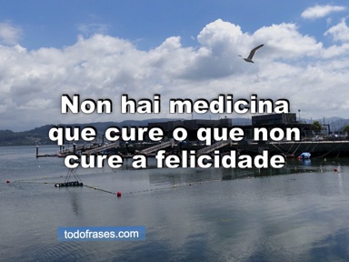 Non hai medicina que cure o que non cure a felicidade