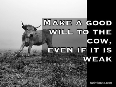 Make a good will to the cow, even if it is weak