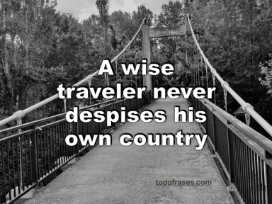 A wise traveler never despises his own country