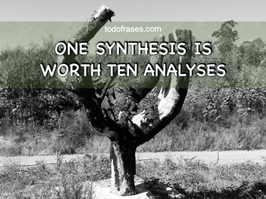 One synthesis is worth ten analyses