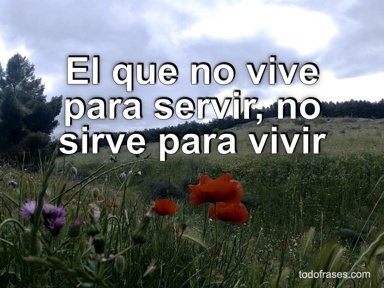 El que no vive para servir, no sirve para vivir